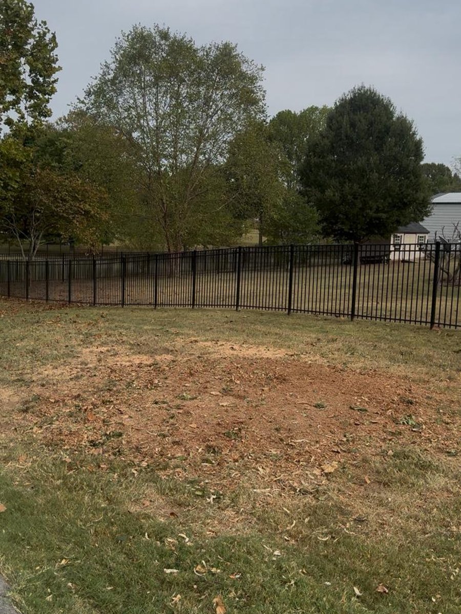 Same yard after Camacho Creations removed the tree and ground the stump